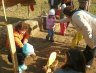 húsvéti állatsimogató - 2012 április 9-én
